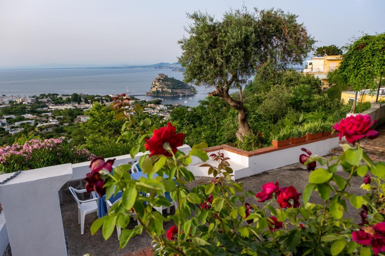 Barracudasuite Ischia Exteriér fotografie