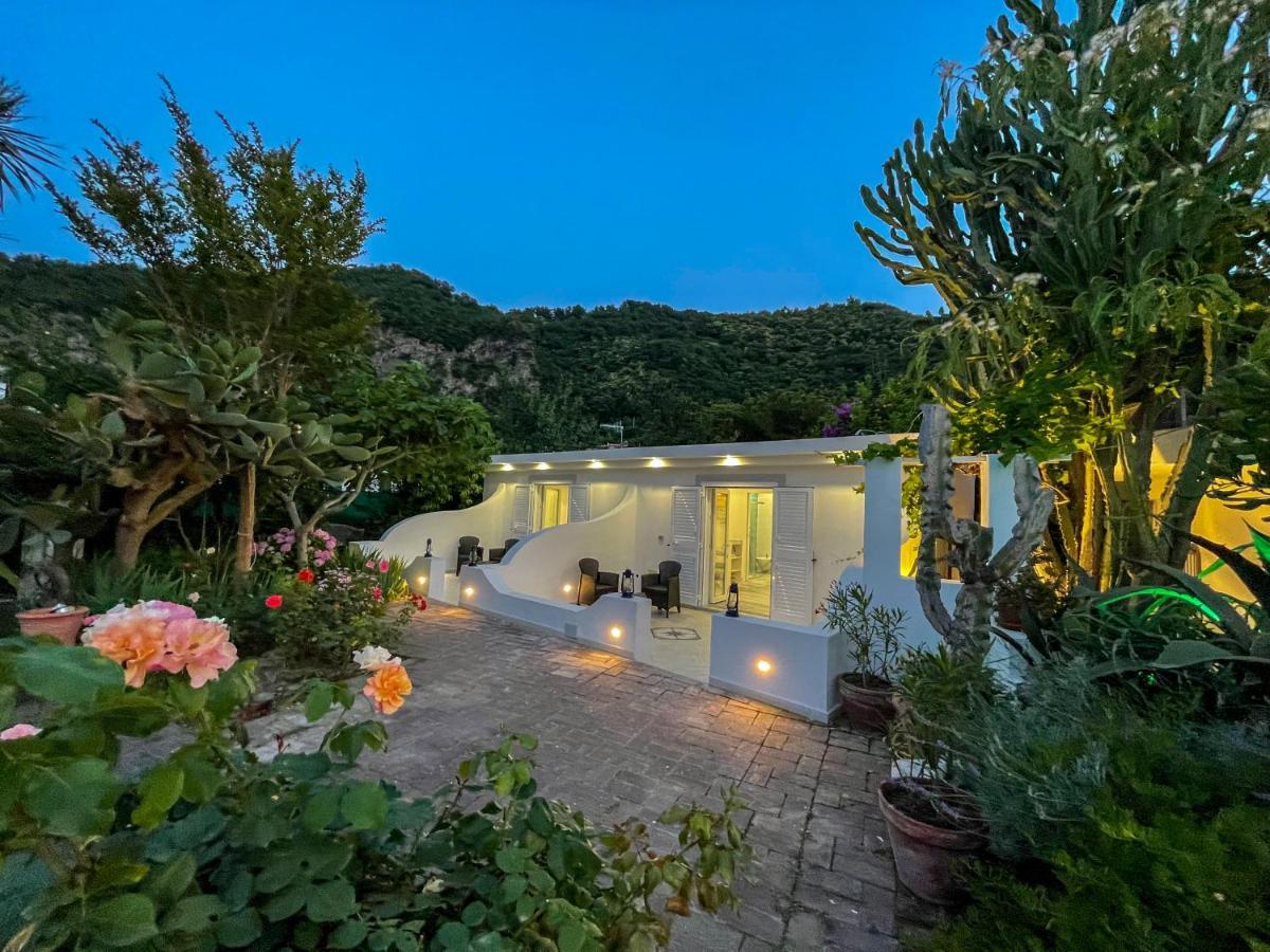 Barracudasuite Ischia Exteriér fotografie