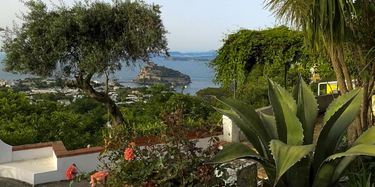 Barracudasuite Ischia Exteriér fotografie